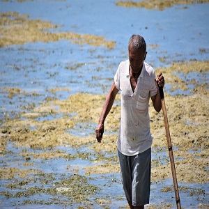 Fishing Shirts Acts As A Defence To The Bad Smell